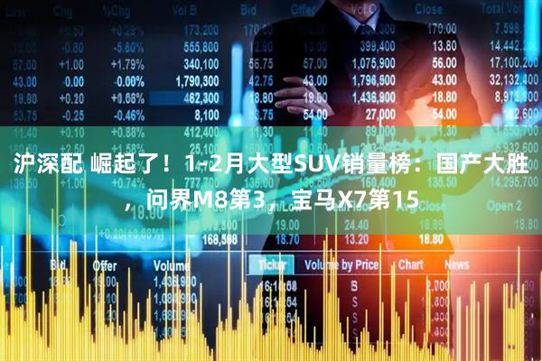 沪深配 崛起了！1-2月大型SUV销量榜：国产大胜，问界M8第3，宝马X7第15