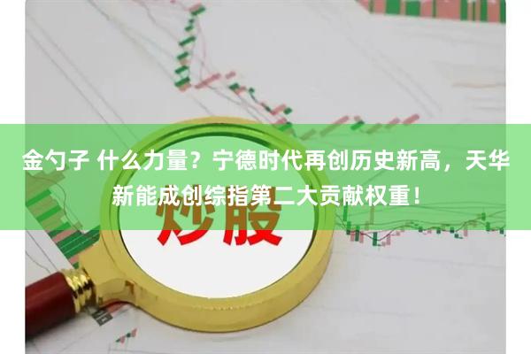 金勺子 什么力量？宁德时代再创历史新高，天华新能成创综指第二大贡献权重！