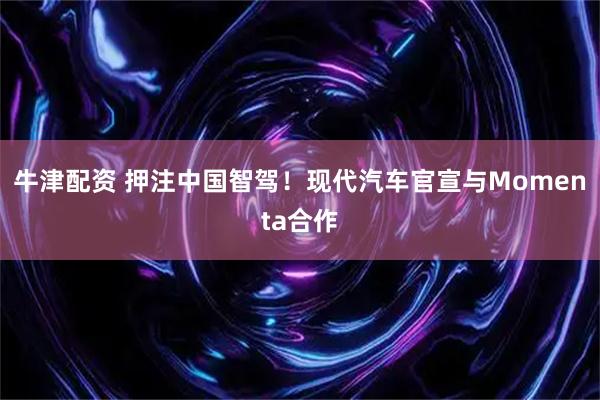 牛津配资 押注中国智驾！现代汽车官宣与Momenta合作